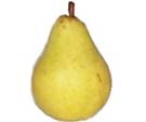 mojofruit